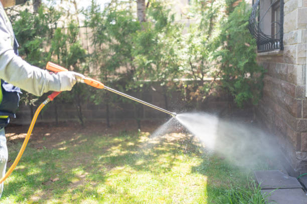 Best Wasp Removal Services  in Tenafly, NJ